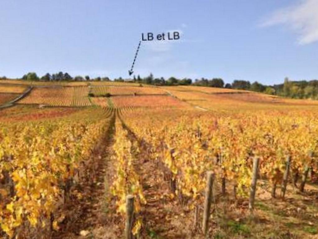 Lb Et Lb Acomodação com café da manhã Beaune  Exterior foto